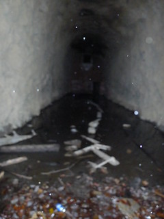 Stumphouse Tunnel-001