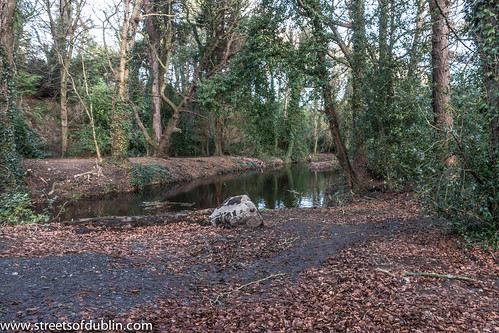 Bushy Park In Terenure (Dublin) - New Years Day 2013: Photography 85,000 by infomatique
