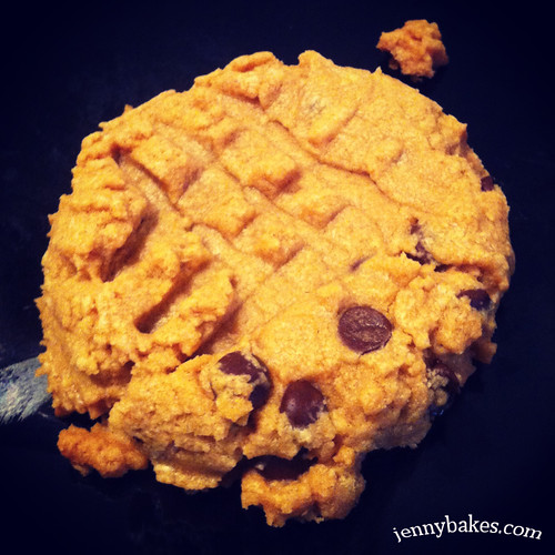 Lower carb peanut butter cookie