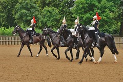 Horse Guards Training Session