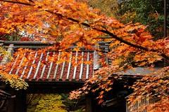 寺社·shrine/temple