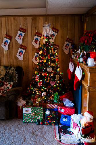 045: Christmas tree