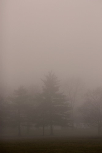 January Fog