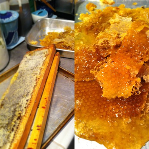extracting honey for Imbolc #imbolc #fromourkitchen #radicalhomemaking