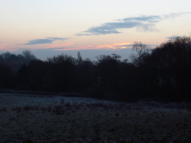 The Ladies' Pond Meadow at Dawn