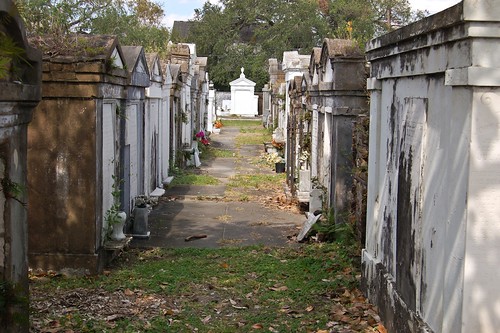 Walking Around the Cemetery