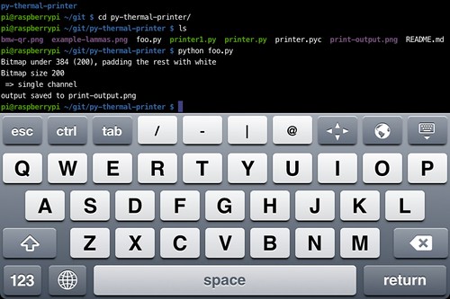 Controlling Raspberry Pi from iPhone SSH client 'Prompt' - currently on sale at £1.49