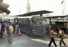 Tangier buses