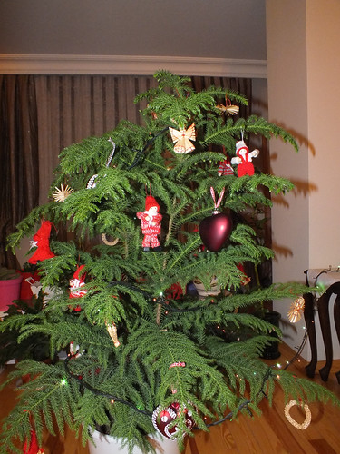 Karácsonyfa/páfrány