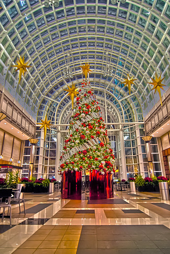 Image of big decorated Christmas tree in the mall by DigiDreamGrafix.com