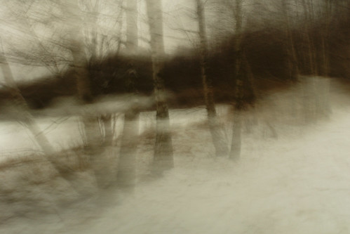 winter by Souran.K