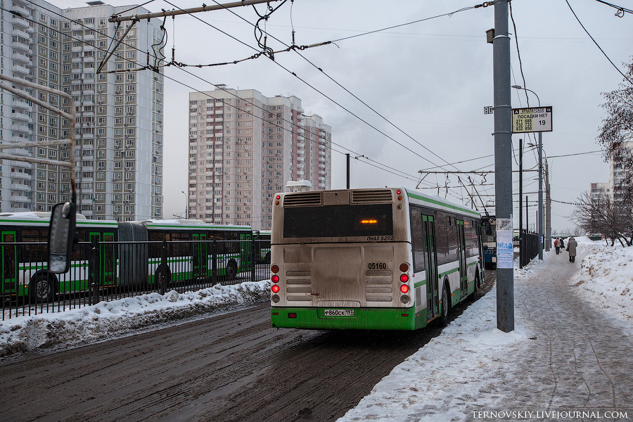Эффективность полосы для общественного транспорта на Звенигородском шоссе IMG_6131-mini