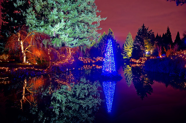 VanDusen Botanical Garden at Night During the Holidays