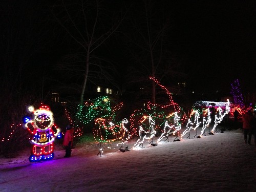 2012-12-20 zoo lights