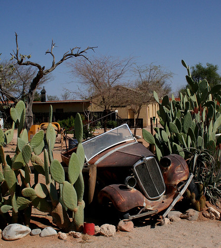 Car and cactus, Solitaire, Namibia