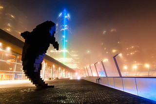 Digital Orca, foggy