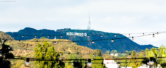 tonight we'll be dancing on the edge of the hollywood sign