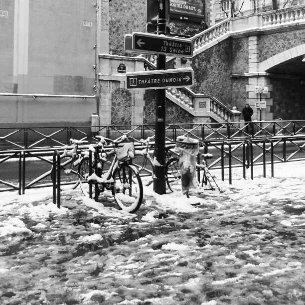 #snow #bicycle or #velo in #paris under #bridge #gadou in #french dans le #texte