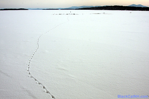 Lake Winnipesaukee NH in Winter by blackcatnh