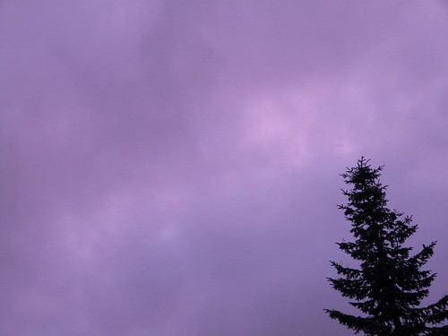 Purple Sky, No Filter