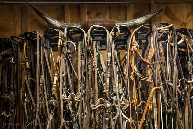 Horse bridles and reins