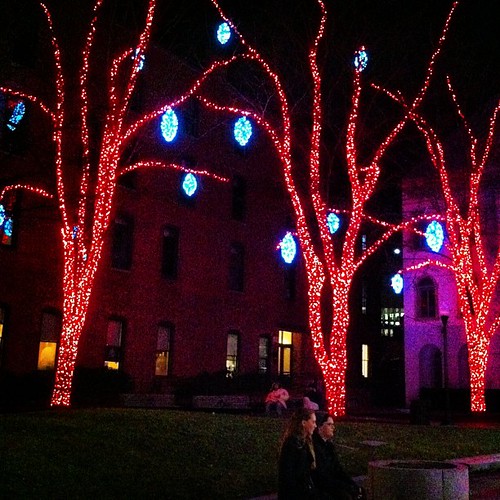 merry and bright #maine #oldport #yule
