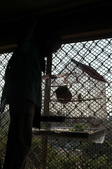 Marziyas New Bird Cage by firoze shakir photographerno1