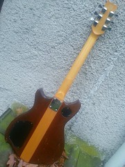 Guitare Country, de dos (Matsumoku ou Kasuga ?)