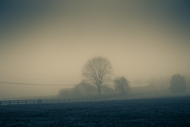 fog-26