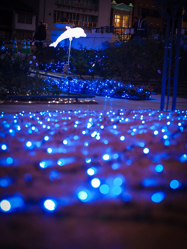 Blue lights at Nakanoshima Park