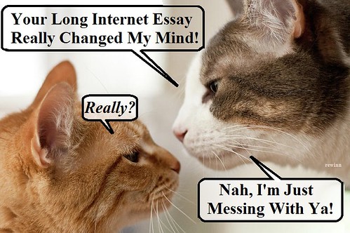 Your Long Internet Essay Really Changed My Mind