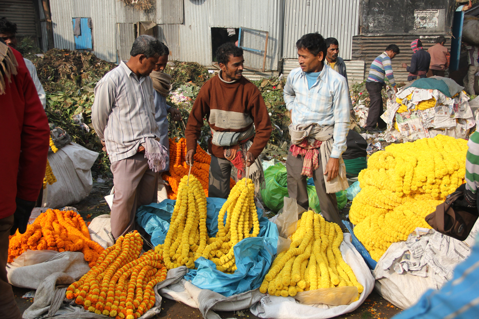 Marigold vendors at the market
