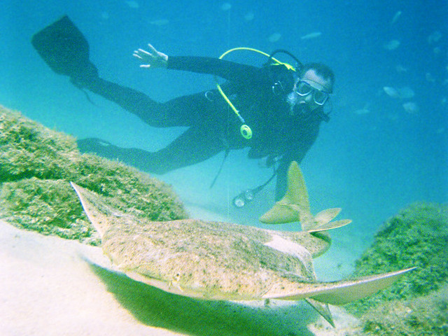 Diving with Sand Shark, Lanzarote