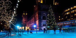 Ice Rink, Natural History Museum (i)