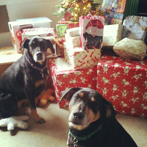 Lola & Tut... "Let's get this unwrapping party started!"