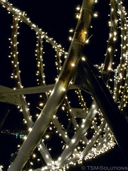 Holiday Lights on Mare Island