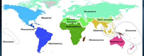 11 realms in new biogeographical map