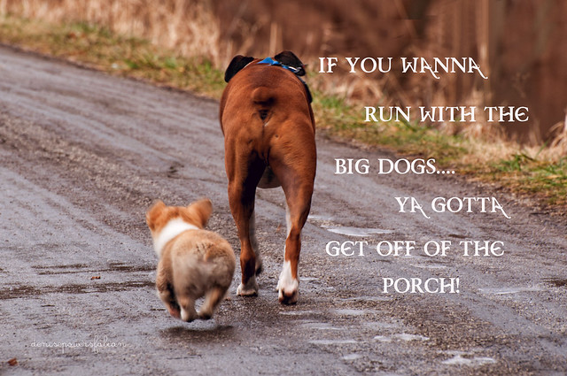 Runnin' with the Big Dogs