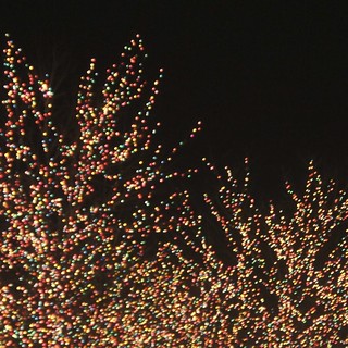 Christmas Lights at Lincoln Park Zoo