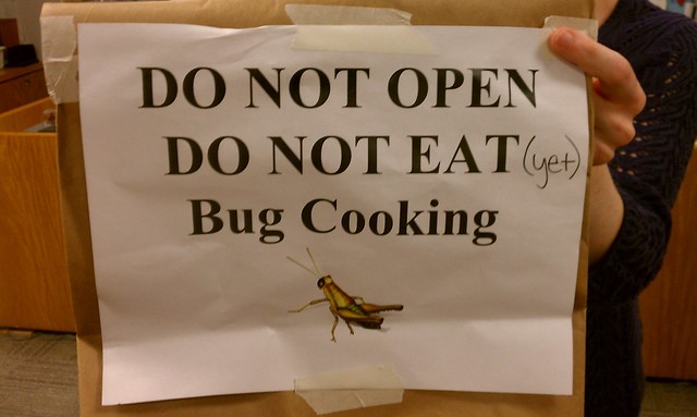 bug cooking
