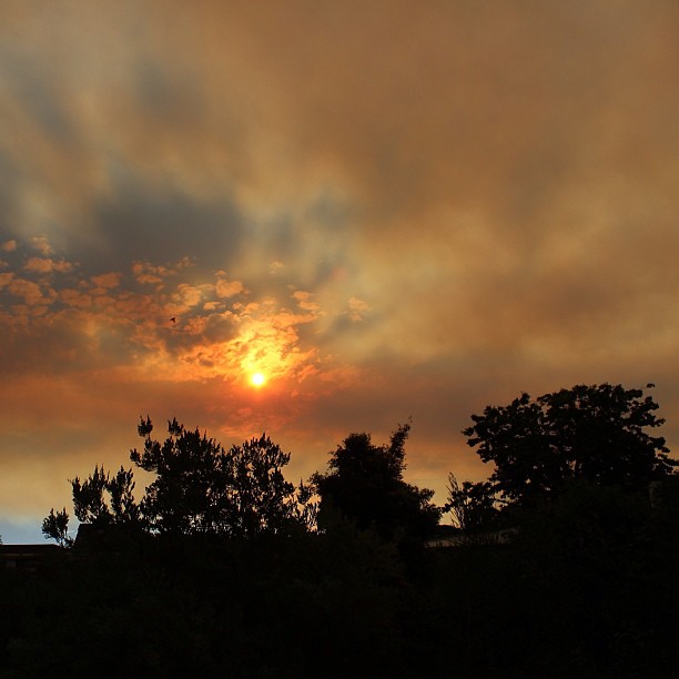 Bushfire sunset on the hottest recorded day in Hobart's history. #stinkinghot