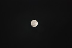 2012.12.27; Xmas Full Moon