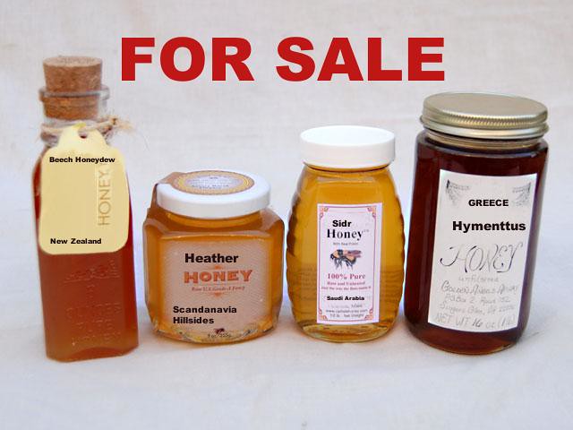 Winnie Honey For Sale