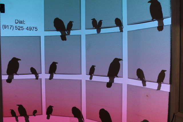Bird on a Wire - ITP Spring Show