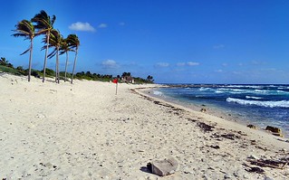 Xel Ha Beach. Mexico. Nikon D3100. DSC_0433.