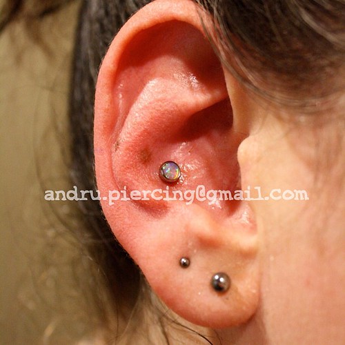 #conch #piercing #pdx #portland #14g #fauxpal #IS #blackhole #qualitypiercing conch by me by Andrew Rogge