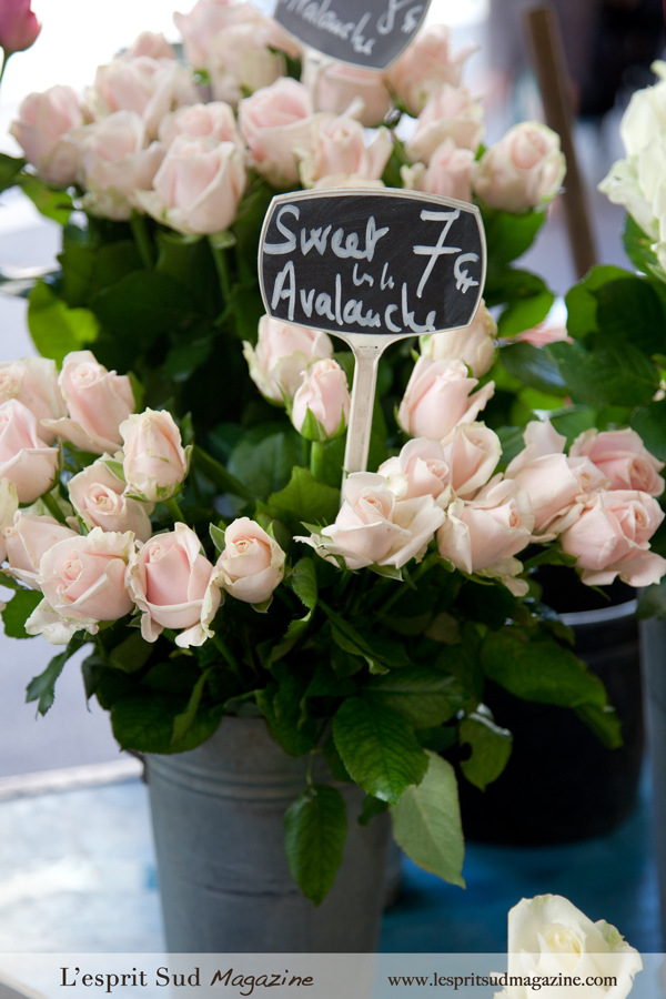 Roses in a bucket - French flowers market