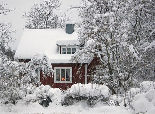 Winter in Sweden by Steffe