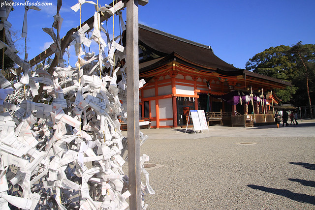 yasaka shrine dreams