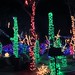 Lights in Cactus Garden